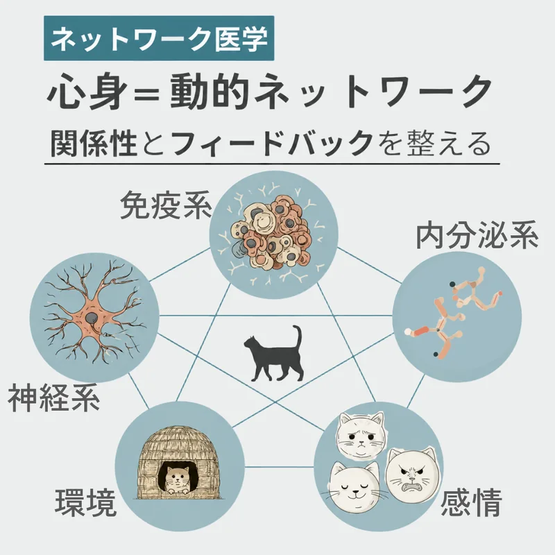 ネットワーク医学:心身は神経系・免疫系・内分泌系・感情・環境がつながった動的なネットワークで、関係性とフィードバックを整えるという考え方